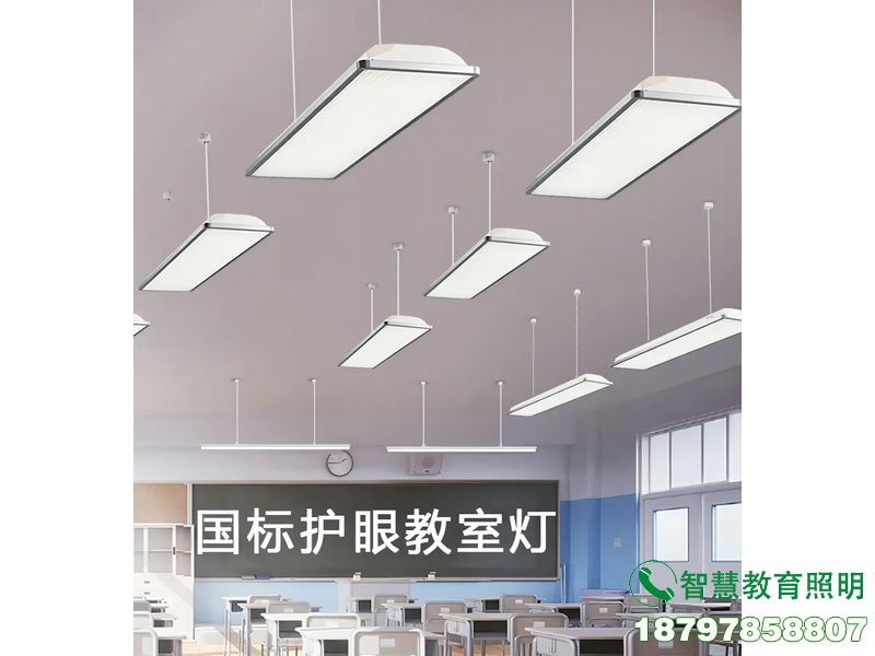 市中国标教室护眼灯