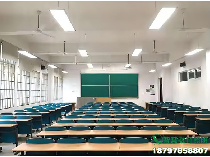 隆阳学校培训室教育照明灯